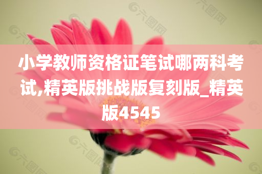 小学教师资格证笔试哪两科考试,精英版挑战版复刻版_精英版4545