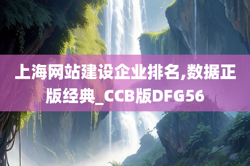 上海网站建设企业排名,数据正版经典_CCB版DFG56