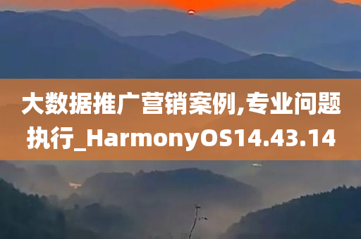 大数据推广营销案例,专业问题执行_HarmonyOS14.43.14