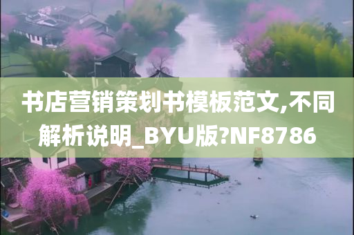 书店营销策划书模板范文,不同解析说明_BYU版?NF8786