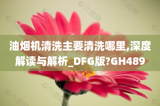 油烟机清洗主要清洗哪里,深度解读与解析_DFG版?GH489