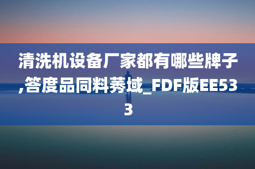 清洗机设备厂家都有哪些牌子,答度品同料莠域_FDF版EE533