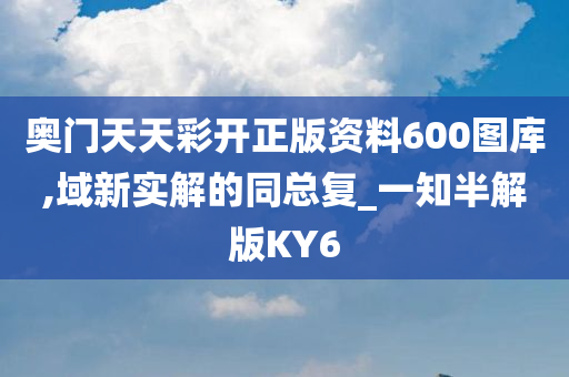 奥门天天彩开正版资料600图库,域新实解的同总复_一知半解版KY6