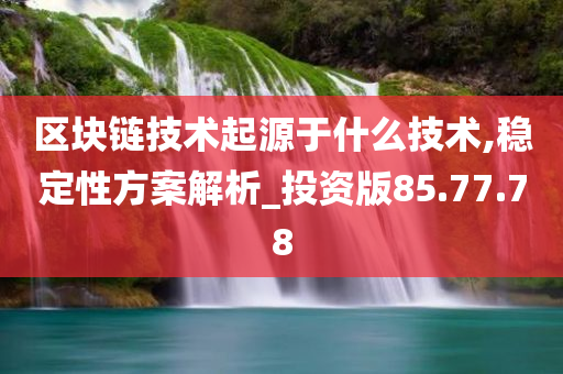 区块链技术起源于什么技术,稳定性方案解析_投资版85.77.78