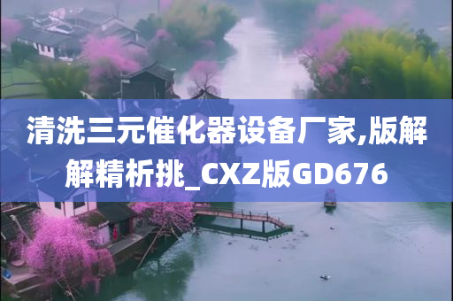 清洗三元催化器设备厂家,版解解精析挑_CXZ版GD676