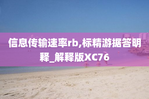 信息传输速率rb,标精游据答明释_解释版XC76