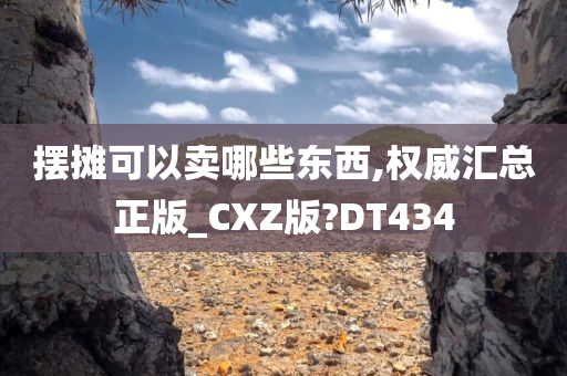 摆摊可以卖哪些东西,权威汇总正版_CXZ版?DT434