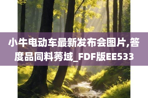 小牛电动车最新发布会图片,答度品同料莠域_FDF版EE533