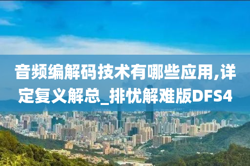 音频编解码技术有哪些应用,详定复义解总_排忧解难版DFS4