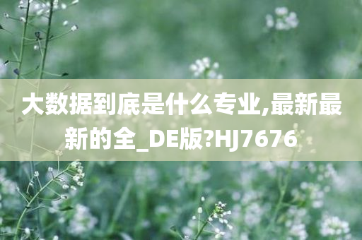 大数据到底是什么专业,最新最新的全_DE版?HJ7676