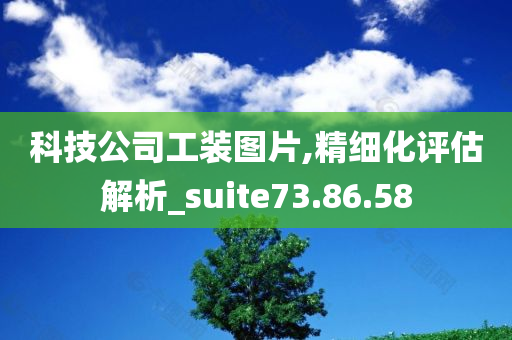 科技公司工装图片,精细化评估解析_suite73.86.58