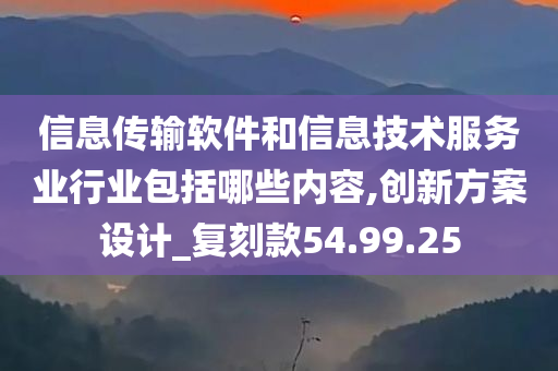 信息传输软件和信息技术服务业行业包括哪些内容,创新方案设计_复刻款54.99.25