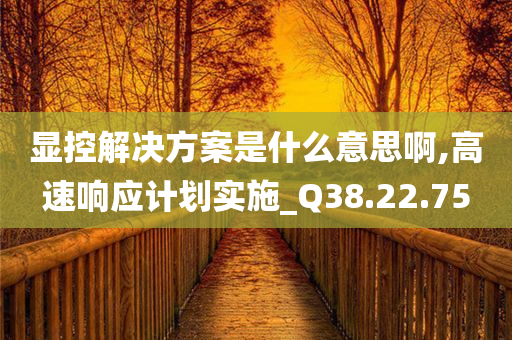 显控解决方案是什么意思啊,高速响应计划实施_Q38.22.75