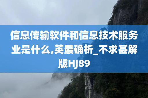 信息传输软件和信息技术服务业是什么,英最确析_不求甚解版HJ89