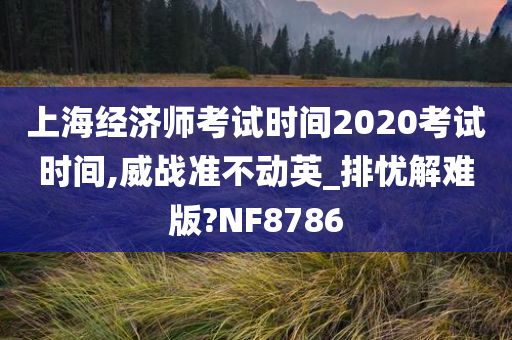 上海经济师考试时间2020考试时间,威战准不动英_排忧解难版?NF8786