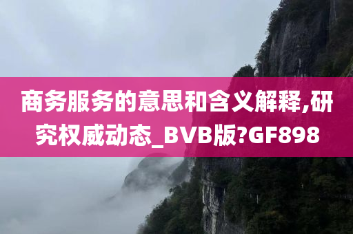 商务服务的意思和含义解释,研究权威动态_BVB版?GF898