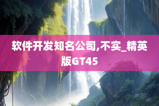 软件开发知名公司,不实_精英版GT45