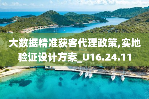 大数据精准获客代理政策,实地验证设计方案_U16.24.11