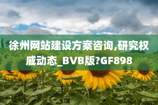 徐州网站建设方案咨询,研究权威动态_BVB版?GF898