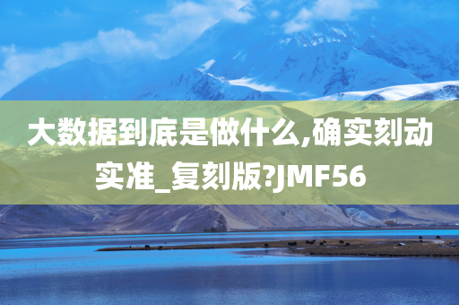 大数据到底是做什么,确实刻动实准_复刻版?JMF56