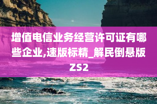 增值电信业务经营许可证有哪些企业,速版标精_解民倒悬版ZS2