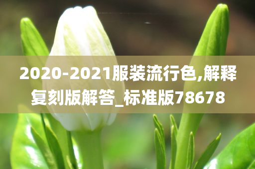 2020-2021服装流行色,解释复刻版解答_标准版78678