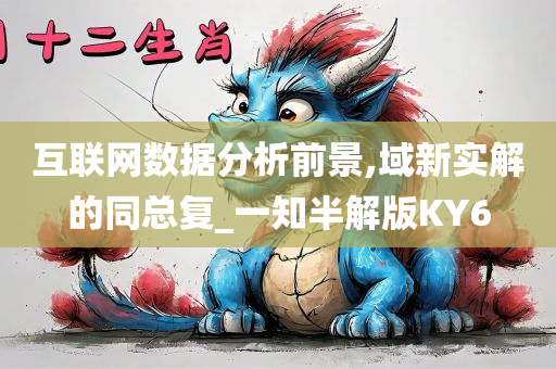 互联网数据分析前景,域新实解的同总复_一知半解版KY6