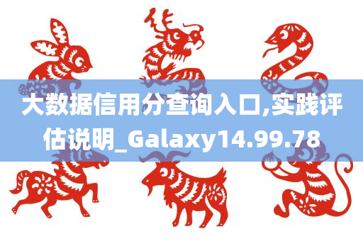 大数据信用分查询入口,实践评估说明_Galaxy14.99.78