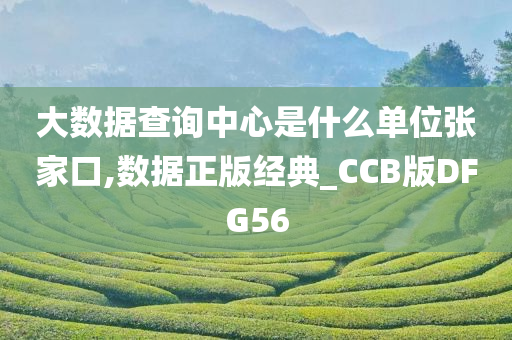 大数据查询中心是什么单位张家口,数据正版经典_CCB版DFG56