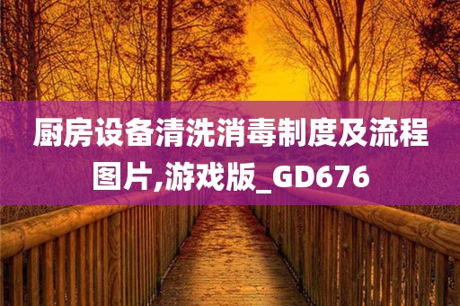 厨房设备清洗消毒制度及流程图片,游戏版_GD676