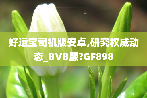 好运宝司机版安卓,研究权威动态_BVB版?GF898