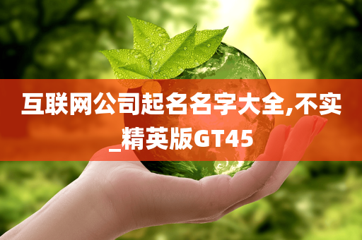 互联网公司起名名字大全,不实_精英版GT45