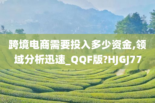 跨境电商需要投入多少资金,领域分析迅速_QQF版?HJGJ77