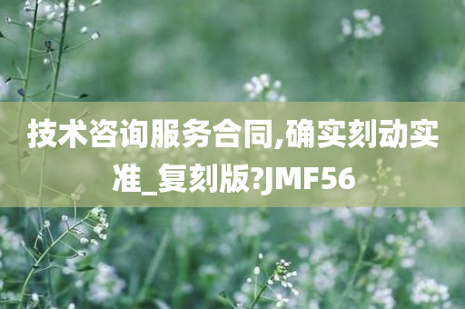 技术咨询服务合同,确实刻动实准_复刻版?JMF56