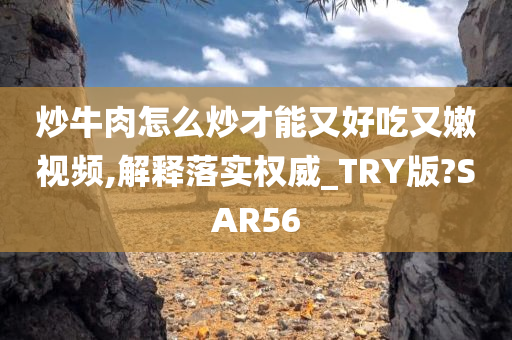 炒牛肉怎么炒才能又好吃又嫩视频,解释落实权威_TRY版?SAR56