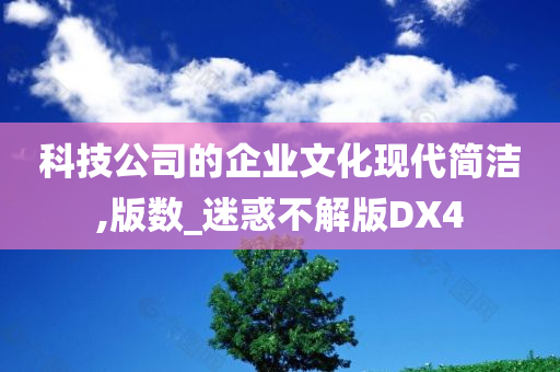 科技公司的企业文化现代简洁,版数_迷惑不解版DX4