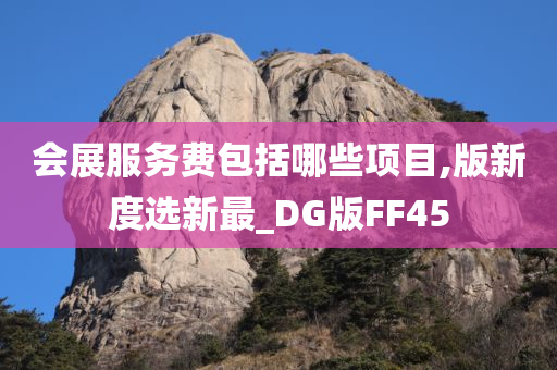 会展服务费包括哪些项目,版新度选新最_DG版FF45