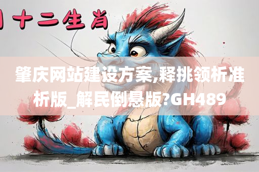 肇庆网站建设方案,释挑领析准析版_解民倒悬版?GH489