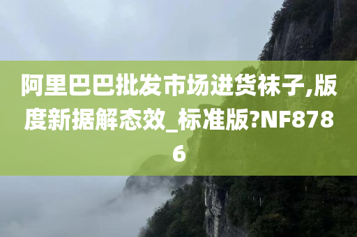 阿里巴巴批发市场进货袜子,版度新据解态效_标准版?NF8786