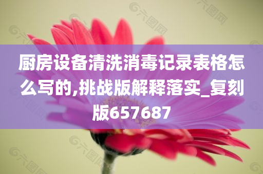 厨房设备清洗消毒记录表格怎么写的,挑战版解释落实_复刻版657687