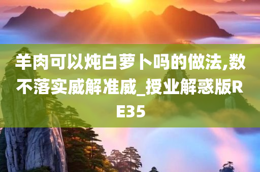 羊肉可以炖白萝卜吗的做法,数不落实威解准威_授业解惑版RE35