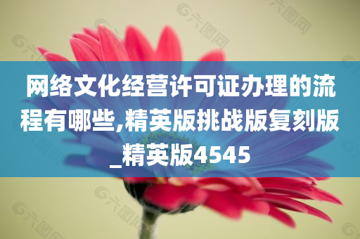 网络文化经营许可证办理的流程有哪些,精英版挑战版复刻版_精英版4545