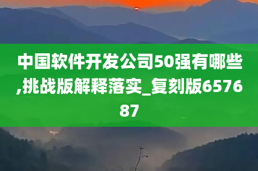 中国软件开发公司50强有哪些,挑战版解释落实_复刻版657687