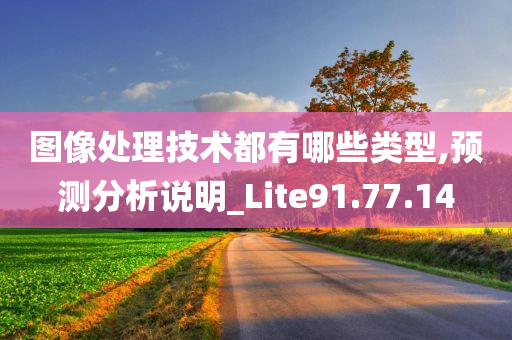 图像处理技术都有哪些类型,预测分析说明_Lite91.77.14