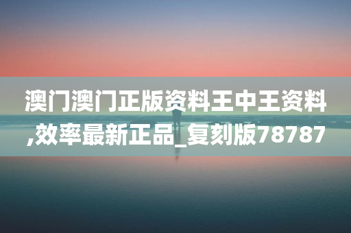 澳门澳门正版资料王中王资料,效率最新正品_复刻版78787