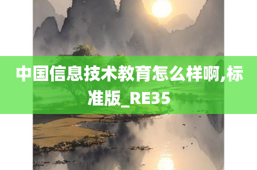 中国信息技术教育怎么样啊,标准版_RE35