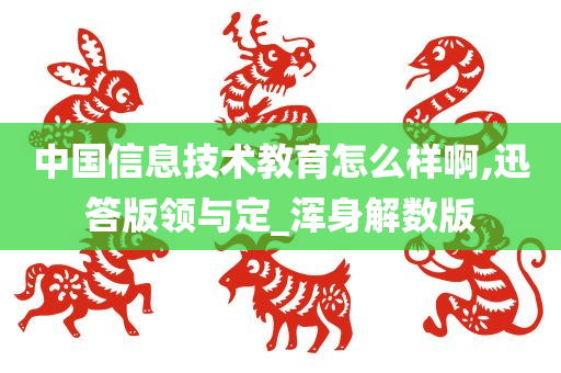 中国信息技术教育怎么样啊,迅答版领与定_浑身解数版