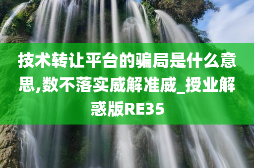 技术转让平台的骗局是什么意思,数不落实威解准威_授业解惑版RE35