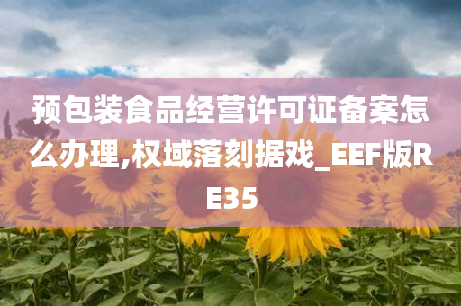 预包装食品经营许可证备案怎么办理,权域落刻据戏_EEF版RE35