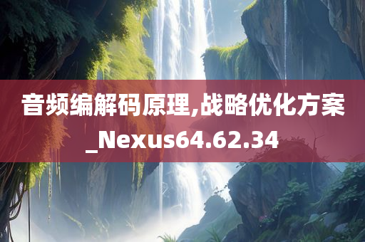 音频编解码原理,战略优化方案_Nexus64.62.34